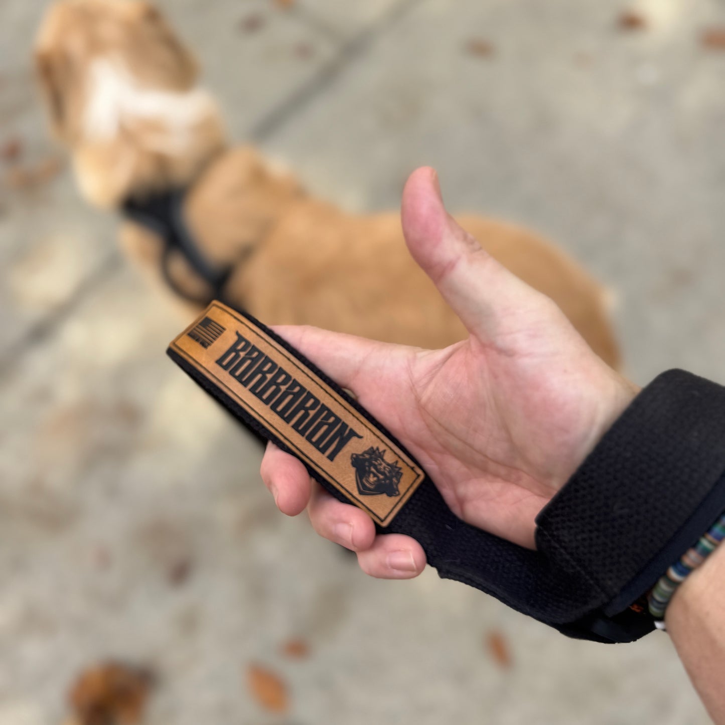 πΊπΈ American-Made Conductor Series B.E.A.S.T. Dog Leash β 5ft Standard