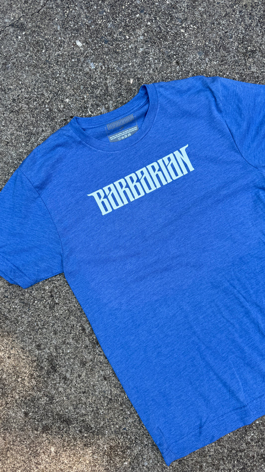Tri-Blend Premium Tee - Royal Heather Blue (Small) [SSS]
